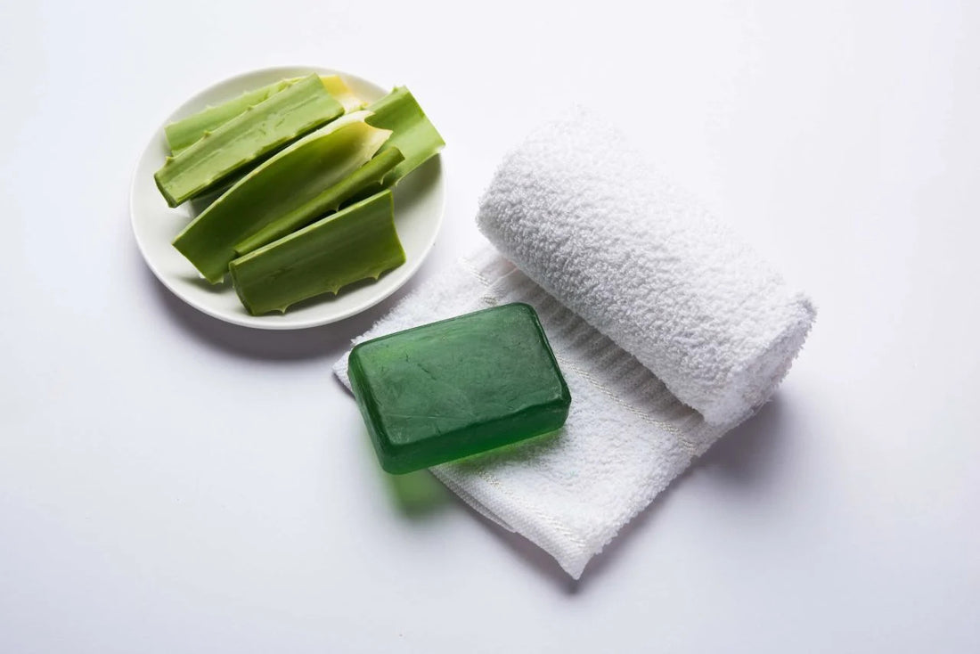 Aloe Vera Sabunu Faydaları